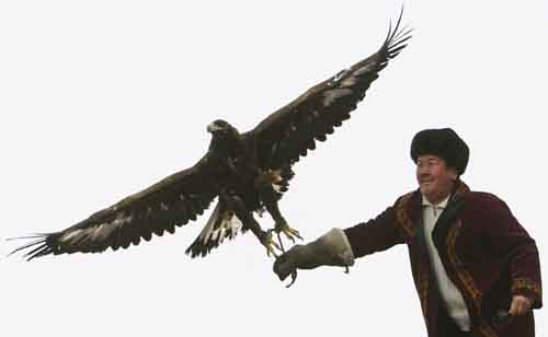 A Kyrgyz hunter releases his eagle during hunters festival Salburun near the town of Cholpon-Ata, some 250 km (155 miles) east from the capital Bishkek February 7, 2010. [Xinhua/Reuters]