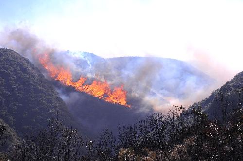 A forest fire is seen in Yi Autonomous County of Shilin, southwest China's Yunnan Province, Feb. 9, 2010. The forest fire broke out on Sunday in Yi Autonomous County of Shilin and has spreaded to neighboring Luliang County. Almost 3,000 soldiers and local residents have been trying to put out the fire. (Xinhua