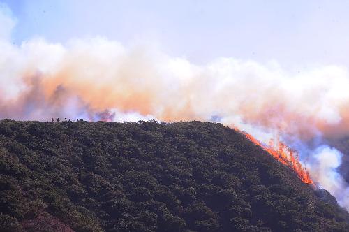 A forest fire spreads to Luliang County, southwest China's Yunnan Province, Feb. 9, 2010. The forest fire broke out on Sunday in Yi Autonomous County of Shilin of Yunnan and has spreaded to neighboring Luliang County. Almost 3,000 soldiers and local residents have been trying to put out the fire. (Xinhua