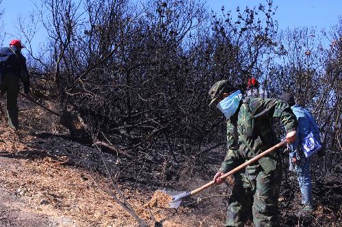 People dig a fire belt in Yi Autonomous County of Shilin, southwest China's Yunnan Province, Feb. 9, 2010. 