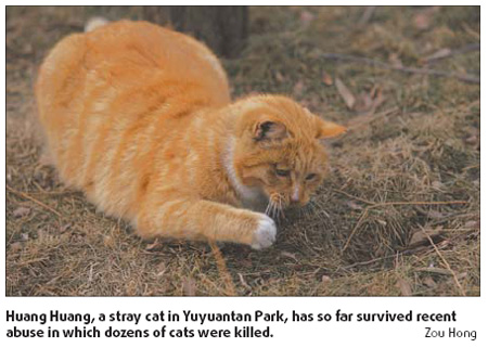 Cat lovers stunned by brutal park slayings