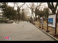 Beihai Park is one of the oldest, largest and best-preserved of the ancient imperial gardens in China and it is conveniently located in the very center of Beijing. Beihai literally means 'Northern Sea'. There are also corresponding 'Central' and 'Southern Seas' – both are located in an area called Zhongnanhai. This region is also quite famous because it houses China's paramount leaders. [Photo by Dong Qingpei]