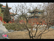 Beihai Park is one of the oldest, largest and best-preserved of the ancient imperial gardens in China and it is conveniently located in the very center of Beijing. Beihai literally means 'Northern Sea'. There are also corresponding 'Central' and 'Southern Seas' – both are located in an area called Zhongnanhai. This region is also quite famous because it houses China's paramount leaders. [Photo by Dong Qingpei]