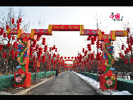 Red lanterns are hung at Ditan Park in Beijing, China. Red lanterns are seen in many parks in Beijing as the traditional Chinese new year approaches. [Photo by Maverick Chen]