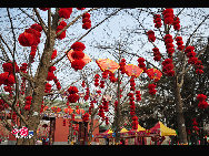 Red lanterns are hung at Ditan Park in Beijing, China. Red lanterns are seen in many parks in Beijing as the traditional Chinese new year approaches. [Photo by Maverick Chen]