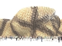 an artist's rendition of the Spain Pavilion