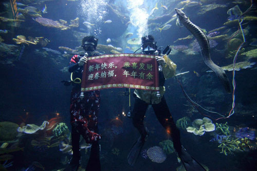 Thai scuba divers dressed in Chinese costumes hold a Chinese banner reading &apos;Happy New Year&apos; at Siam Ocean World in Bangkok February 10, 2010. [Xinhua/Reuters]