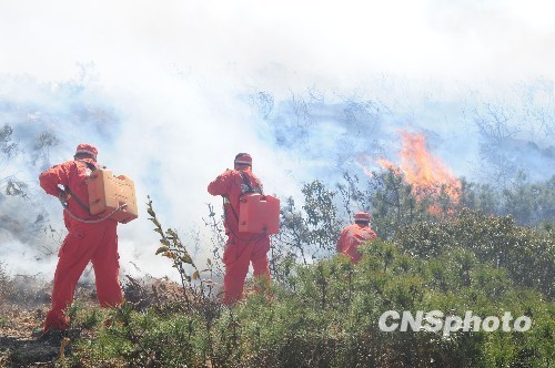 A mountain forest fire that had been raging three days in southwest China's Yunnan Province was put out on February 10, local authorities said.