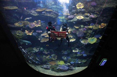 Thai scuba divers dressed in Chinese costumes hold a Chinese banner reading 'Happy New Year' at Siam Ocean World in Bangkok February 10, 2010. The Lunar New Year falls on February 14 this year. 