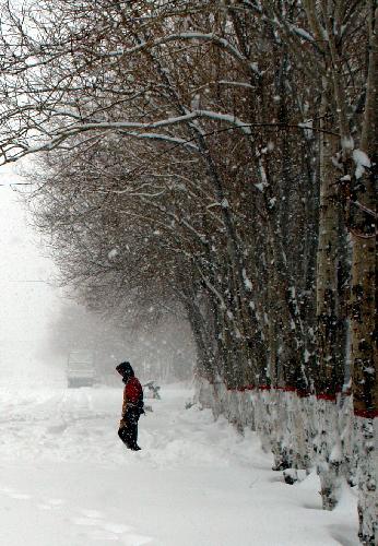 Snow falls in Burang of Ngari Prefecture in southwest China's Tibet Autonomous Region, Feb. 10, 2010. Blizzard also hit parts of southwest China's Tibet Autonomous Region since Monday. As of Tuesday night, the Ngari Prefecture had reported 21.7 mm of precipitation and the fresh snow on the ground measured 23 centimeters. 