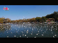 Green Lake Park (Cuihu Park), is an urban park in Kunming, Yunnan Province, China. Green Lake is surrounded by restaurants and tea houses (some with rooftop dining), shops, and hotels. Two long dikes divide the lake into 4 small lakes linked by traditional Chinese bridges. [Photo by Wang Xinling]