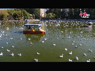 Green Lake Park (Cuihu Park), is an urban park in Kunming, Yunnan Province, China. Green Lake is surrounded by restaurants and tea houses (some with rooftop dining), shops, and hotels. Two long dikes divide the lake into 4 small lakes linked by traditional Chinese bridges. [Photo by Wang Xinling]