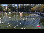 Green Lake Park (Cuihu Park), is an urban park in Kunming, Yunnan Province, China. Green Lake is surrounded by restaurants and tea houses (some with rooftop dining), shops, and hotels. Two long dikes divide the lake into 4 small lakes linked by traditional Chinese bridges. [Photo by Wang Xinling]