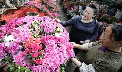 Citizens choose flowers at a market in Lhasa, capital of southwest China's Tibet Autonomous Region, Feb. 11, 2010, during the preparation for the Spring Festival and Tibetan Losar.