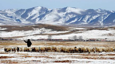 Inner Mongolia embraces Spring Festival