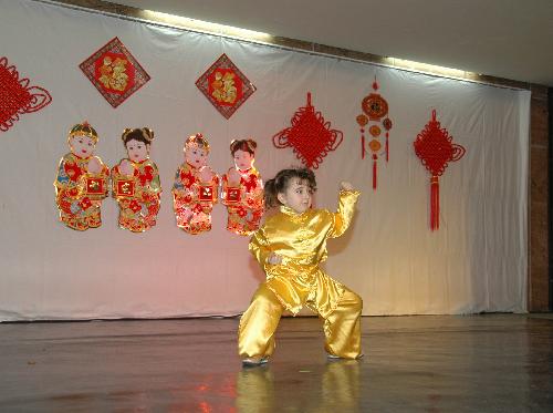 A Bulgarian child performs Chinese wushu at the art salon 'Two Cultures, One World' in Sofia, capital of Bulgaria, Feb. 11, 2010. 