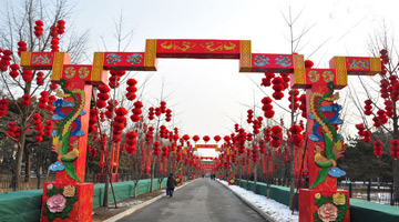 Beautiful red lanterns in Ditan Park