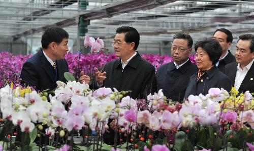 Chinese President Hu Jintao (2nd L), who is also general secretary of the Central Committee of the Communist Party of China (CPC), talks with a businessman (1st L) from China's Taiwan Province, at the Zhangpu Pioneer Park of Taiwan farmers in Zhangzhou, east China's Fujian Province, Feb. 12, 2010. [Xinhua]