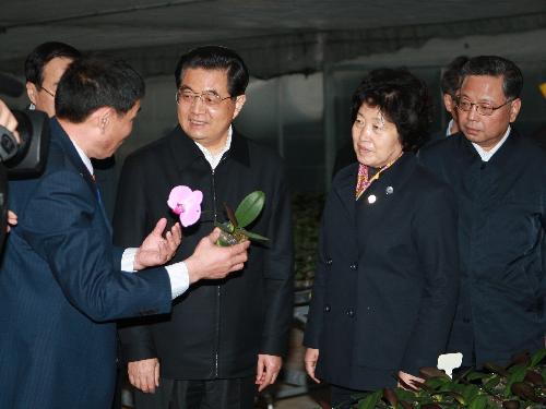 Chinese President Hu Jintao (2nd L front), who is also general secretary of the Central Committee of the Communist Party of China (CPC), talks with a businessman (1st L front) from China's Taiwan Province, at the Zhangpu Pioneer Park of Taiwan farmers in Zhangzhou, east China's Fujian Province, Feb. 12, 2010. [Xinhua]