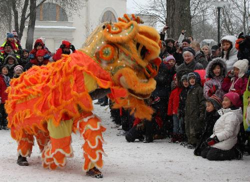 People watch lion dance during a celebration for the Chinese Spring Festival, or lunar New Year, in Stockholm, capital of Sweden, on Feb. 13, 2010. (Xinhua/He Miao) 