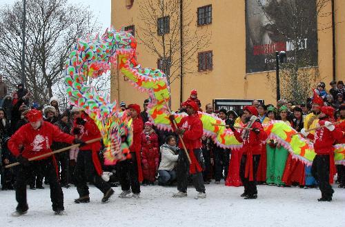 Swedish kungfu learners perform dragon dance during a celebration for the Chinese Spring Festival, or lunar New Year, in Stockholm, capital of Sweden, on Feb. 13, 2010. (Xinhua/He Miao)