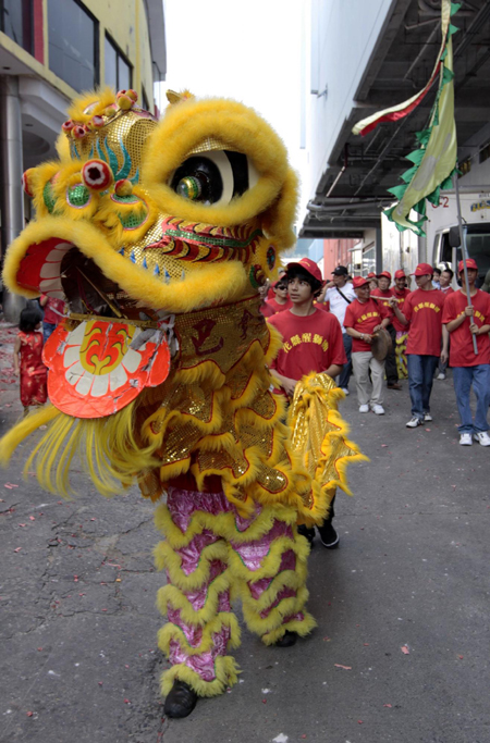 People perform the lion dance in the middle of a street in Chinatown, Panama City, on the first day of the Chinese New Year February 14, 2010.