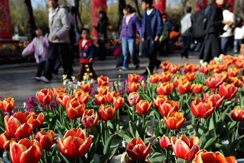 People appreciate flowers at Daguan park in Kunming, capital of southwest China's Yunnan Province, Feb. 15, 2010.