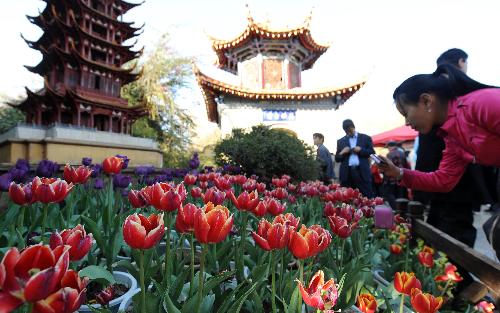 A visitor takes photo at Daguan park in Kunming, capital of southwest China's Yunnan Province, Feb. 15, 2010.