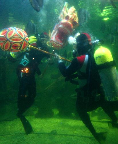 Divers perform underwater dragon dance for visitors to celebrate the spring festival at a marine museum in Nantong, east China's Jiangsu Province, Feb. 15, 2010. The underwater dragon dance of Nantong Sea World delivered new entertaining feeling for people during the spring festival holidays.