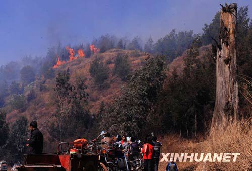 A forest fire has been raging for two days on Mt. Cangshan.