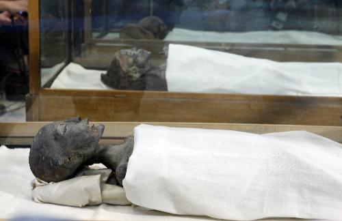 The photo taken on Feb. 17, 2010 shows the mummy of King Tutankhamun's mother (front), who still cann't be identified by name, displayed in the Egyptian Museum in Cairo, capital of Egypt. [Xinhua]