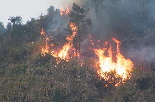 Forest catches fire in QIzi County, Xiangxiang, Hunan Province, Feb. 18, 2010. The fire, starting on Thursday afternoon was put under control by 10 p.m. The cause of the fire is under investigation.