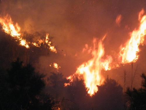 Fire spreads in the forest at Changyuan Village in Qizi Town of Xiangxiang City, central-south China's Hunan Province, Feb. 18, 2010. A forest fire broke out on a mountain in Qizi Town Thursday and was controlled soon. [Xinhua]