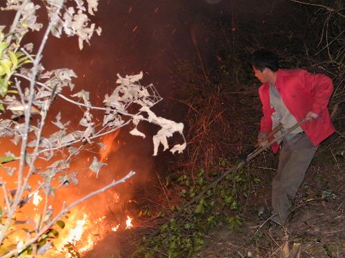 A local resident helps put out fire in the forest at Changyuan Village in Qizi Town of Xiangxiang City, central-south China's Hunan Province, Feb. 18, 2010.[Xinhua]