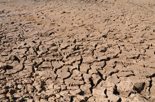 A dried land in Fuyuan County, Yunnan Province. A total of 53.36 million mu (about 3.56 million hectares) of crops in China had been affected by severe drought by February 20, 2010. [China Meteorological Administration] 