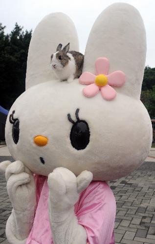 A volunteer wearing cartoon costume calls for donation for deserted or injured rabbits at the rabbit sports meet held in Taipei, southeast China&apos;s Taiwan, Feb. 20, 2010. Hundreds of rabbit fans brought their rabbits to an amusing rabbit sports meet in Taipei on Saturday. [Xinhua] 