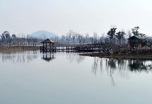 Photo taken on Feb. 21, 2010 shows the view of the Taihu Lake Wetland Park in Suzhou, east China's Jiangsu Province. The park with a total planning area of 4.6-square-kilometer was inaugurated Sunday. (Xinhua/Hu Haichuan) 