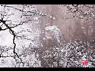 Photo shows the imposing snowy view of the Huangshan Mountain, east China's Anhui Province. [Photo by Sala]