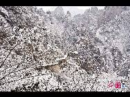 Photo shows the imposing snowy view of the Huangshan Mountain, east China's Anhui Province. [Photo by Sala]