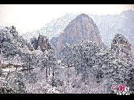 Photo shows the imposing snowy view of the Huangshan Mountain, east China's Anhui Province. [Photo by Sala]