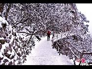 Photo shows the imposing snowy view of the Huangshan Mountain, east China's Anhui Province. [Photo by Sala]