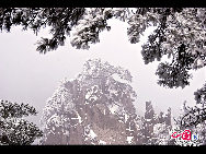 Photo shows the imposing snowy view of the Huangshan Mountain, east China's Anhui Province. [Photo by Sala]