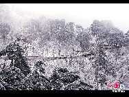 Photo shows the imposing snowy view of the Huangshan Mountain, east China's Anhui Province. [Photo by Sala]