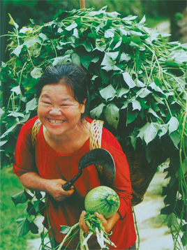  farmer collects some vegetables from her farm to prepare for a meal.