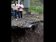 Torrential flash floods and mudslides on the island of Madeira have killed at least 43 and injured 120 people. More than 300 are homeless and the death toll is feared to rise. [qq.com]