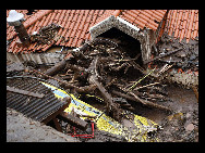 Torrential flash floods and mudslides on the island of Madeira have killed at least 43 and injured 120 people. More than 300 are homeless and the death toll is feared to rise. [qq.com]