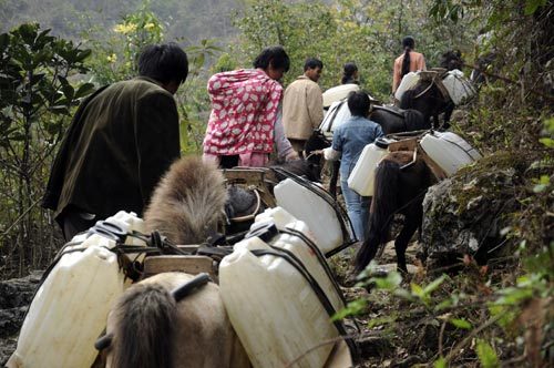 People of Dawen Village of Donglan Township load barrels of water by horses in Donglan County, southwest China's Guangxi Zhuang Autonomous Region, February 23, 2010. 