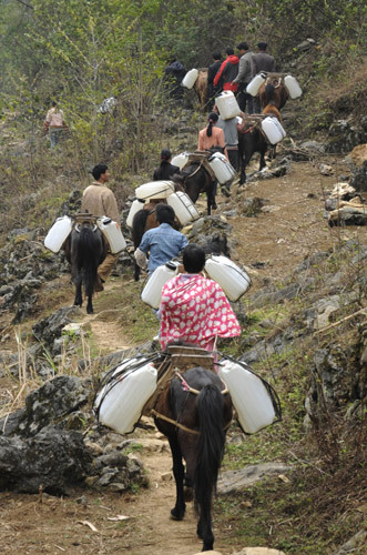 People of Dawen Village of Donglan Township load barrels of water by horses in Donglan County, southwest China's Guangxi Zhuang Autonomous Region, February 23, 2010. A severe drought since August in 2009 has been continuing here at present. [Xinhua photo]
