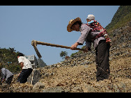 The temperature in Donglan, Guangxi Province hits 30 centidegree, Feb. 24, 2010. A severe drought over the past months has left 7.5 million people and more than 4 million head of livestock without adequate drinking water in two southwestern China's Yunnan, Guangxi and Guizhou provinces. [Xinhua]