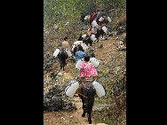 People of Dawen Village of Donglan Township load barrels of water by horses in Donglan County, southwest China's Guangxi Zhuang Autonomous Region, February 23, 2010. [Xinhua photo]